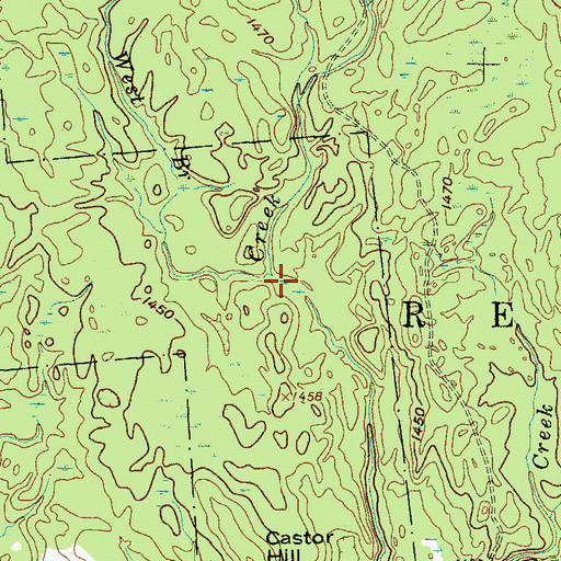 Topographic Map of West Branch Gillman Creek, NY