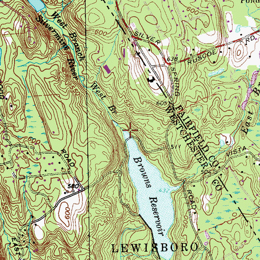 Topographic Map of West Branch Silvermine River, NY
