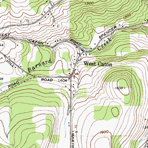 Topographic Map of West Caton, NY