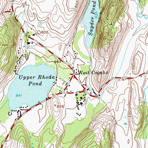 Topographic Map of West Copake, NY