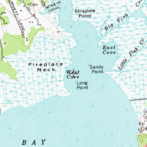 Topographic Map of West Cove, NY