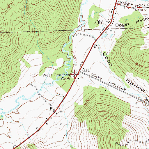 Topographic Map of West Genesee Cemetery, NY
