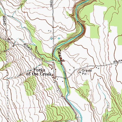 Topographic Map of Big Salmon Creek, NY