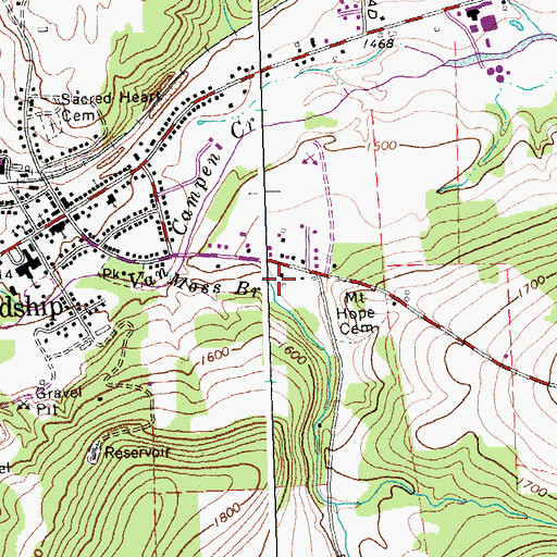 Topographic Map of Moss Brook, NY