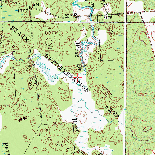 Topographic Map of Perrigo Creek, NY