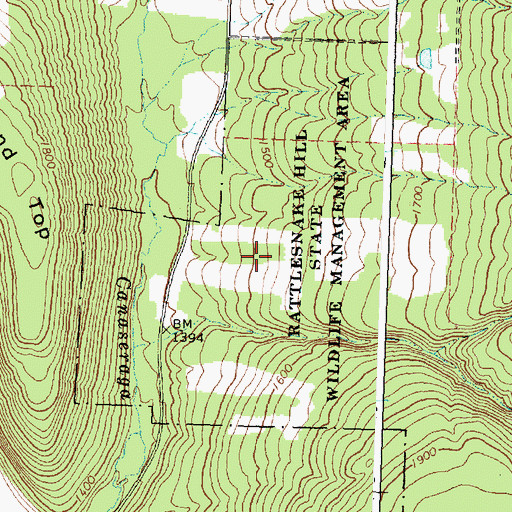 Topographic Map of Rattlesnake Hill State Wildlife Management Area, NY