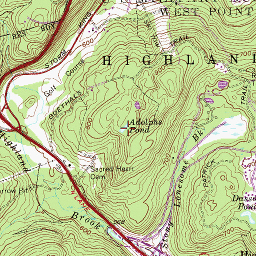 Topographic Map of Adolphs Pond, NY