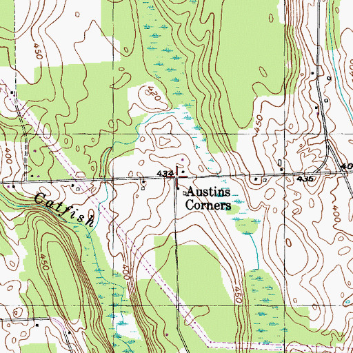 Topographic Map of Austins Corners, NY