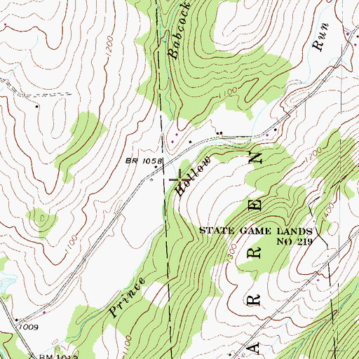 Topographic Map of Babcock Run, NY