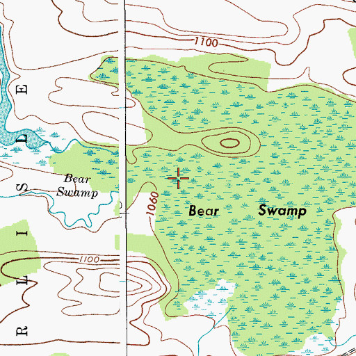 Topographic Map of Bear Swamp, NY