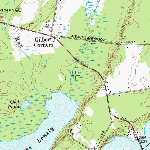 Topographic Map of Bear Swamp, NY