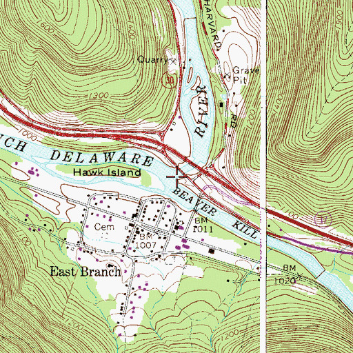Topographic Map of Beaver Kill, NY