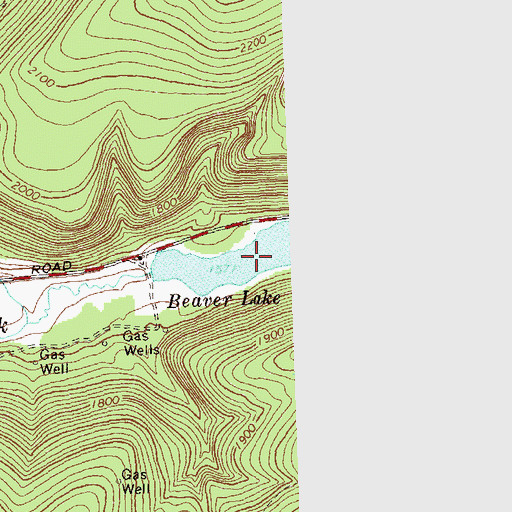 Topographic Map of Beaver Lake, NY