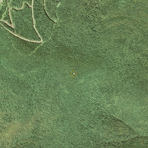 Aerial/Satellite Image of Belle Ayr Mountain, NY