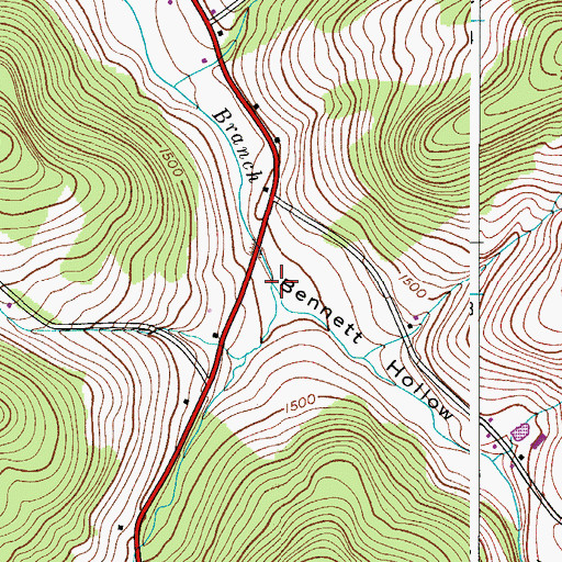 Topographic Map of Bennett Hollow, NY