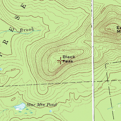 Topographic Map of Black Peak, NY
