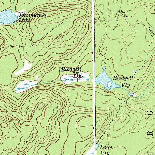 Topographic Map of Blodgett Vly, NY
