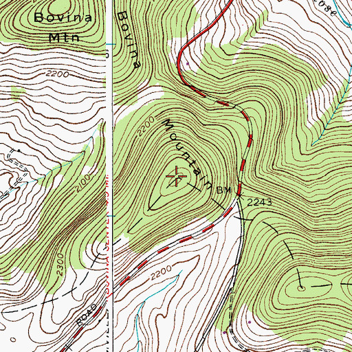 Topographic Map of Bovina Mountain, NY