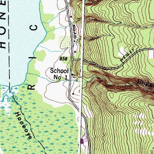 Topographic Map of Briggs Gully, NY