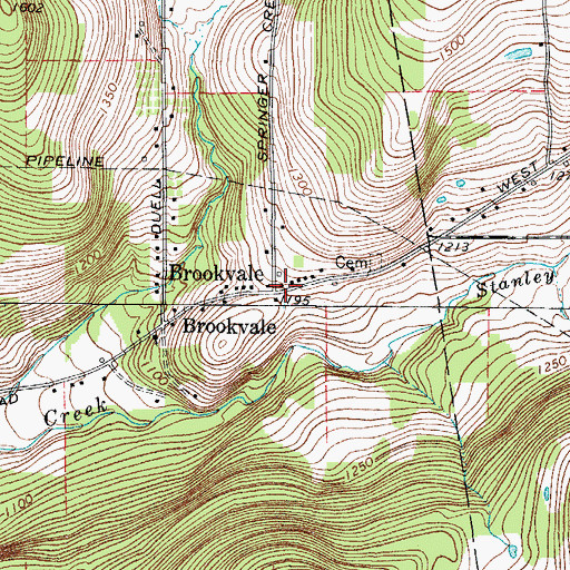 Topographic Map of Brookvale, NY