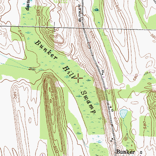 Topographic Map of Bunker Hill Swamp, NY