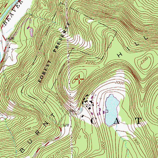 Topographic Map of Burnt Hill, NY