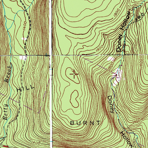 Topographic Map of Burnt Hill, NY
