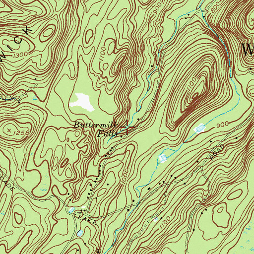 Topographic Map of Buttermilk Falls, NY