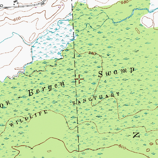 Topographic Map of Byron-Bergen Swamp, NY