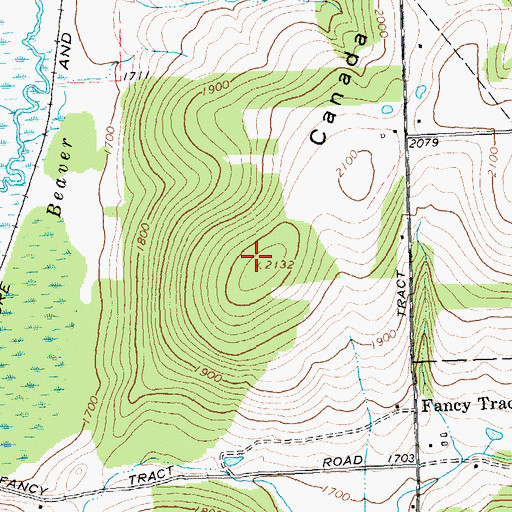 Topographic Map of Canada Hill, NY