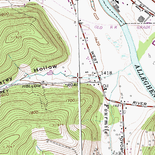Topographic Map of Carey Hollow, NY