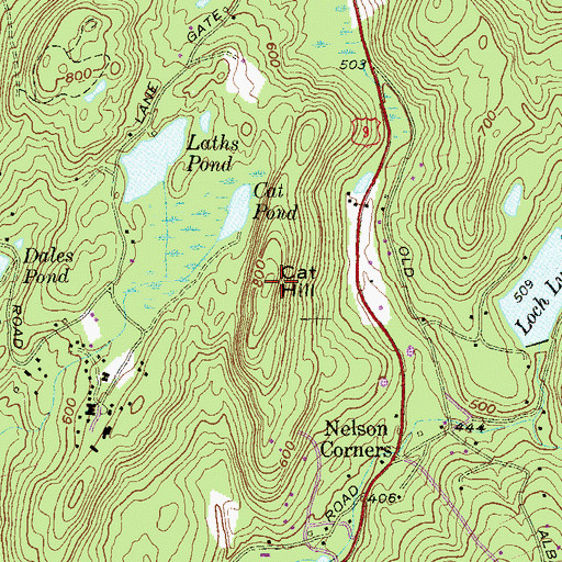 Topographic Map of Cat Hill, NY