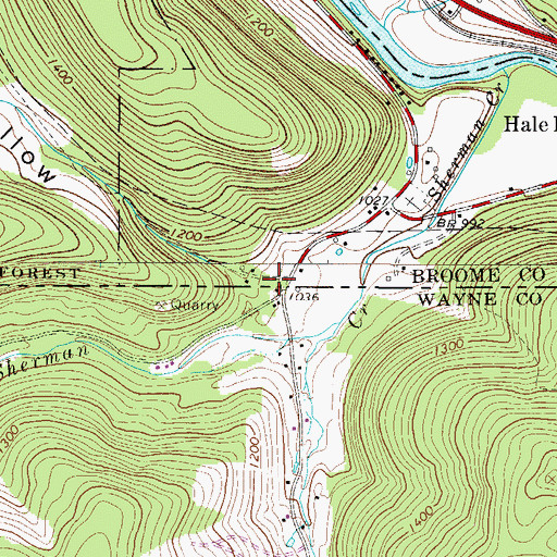 Topographic Map of Cat Hollow, NY