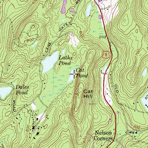 Topographic Map of Cat Pond, NY
