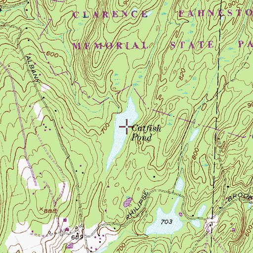 Topographic Map of Catfish Pond, NY