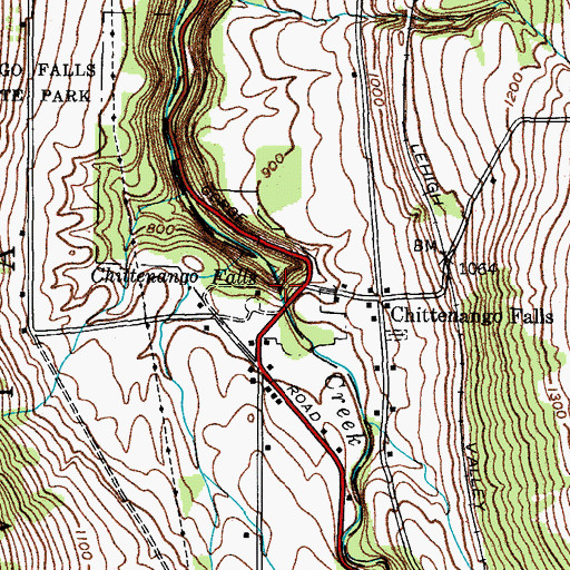 Topographic Map of Chittenango Falls, NY