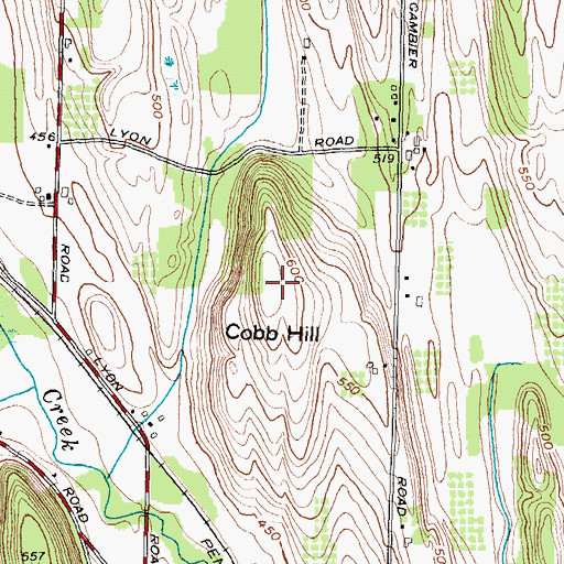 Topographic Map of Cobb Hill, NY