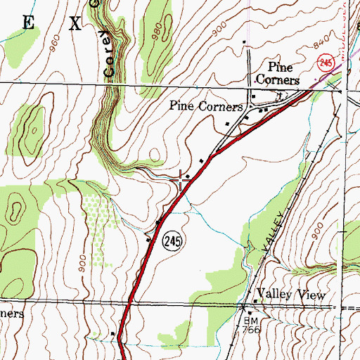 Topographic Map of Corey Gully, NY