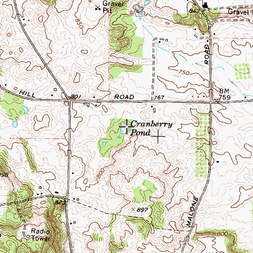 Topographic Map of Cranberry Pond, NY
