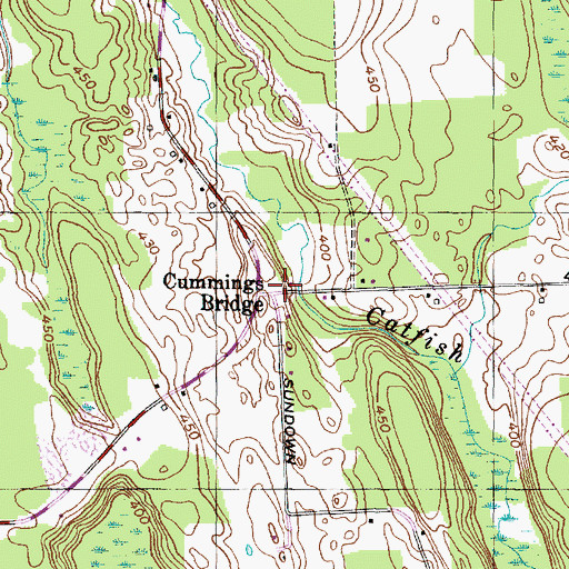 Topographic Map of Cummings Bridge, NY