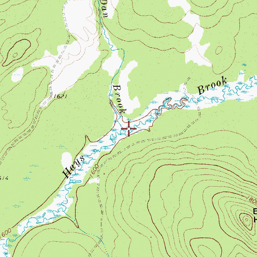 Topographic Map of Dan Brook, NY