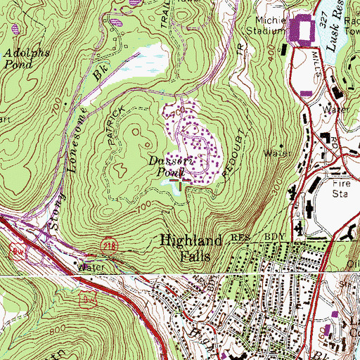 Topographic Map of Dassori Pond, NY