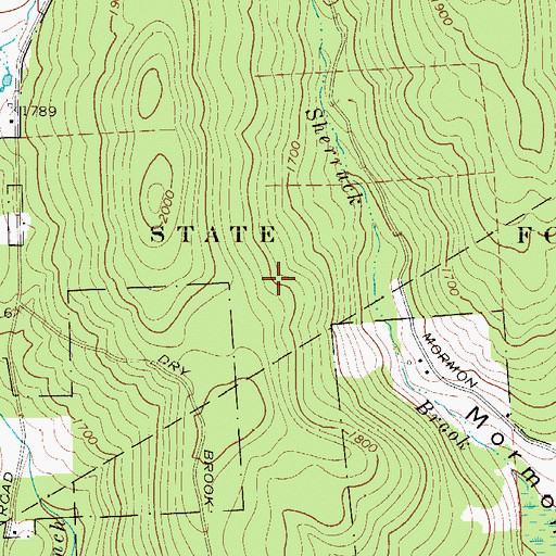 Topographic Map of Delaware State Forest, NY