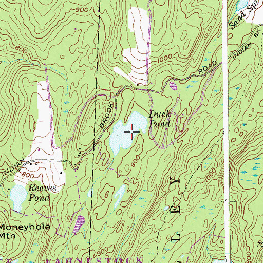 Topographic Map of Duck Pond, NY