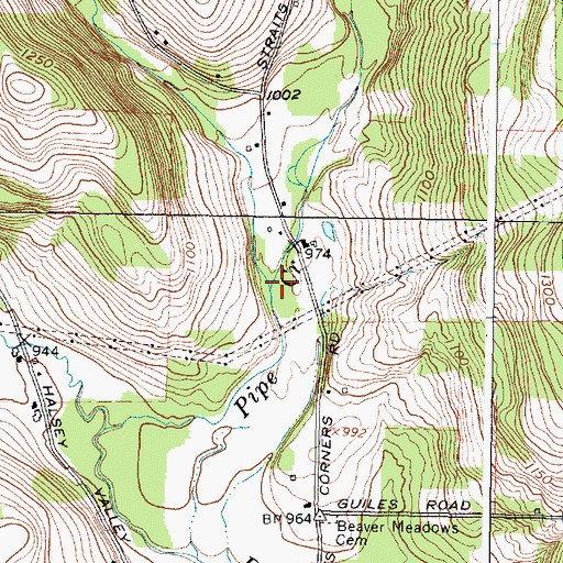Topographic Map of Evelin Hill Creek, NY