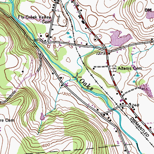 Topographic Map of Fly Creek, NY