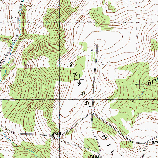 Topographic Map of Grass Hill, NY