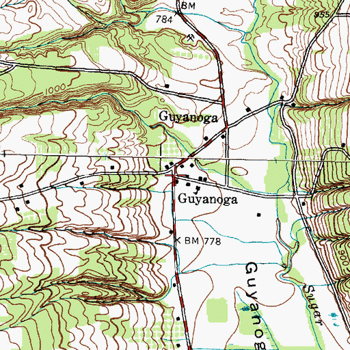 Topographic Map of Guyanoga, NY
