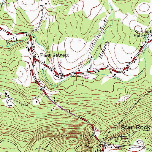 Topographic Map of Halsey Brook, NY