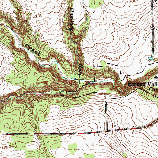 Topographic Map of Hemlock Run, NY